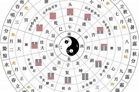 天干屬性|十二天干地支與五行精髓全部在此！